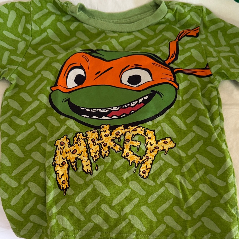 Ninja Turtle Hoodie & Tees - Size 4T - Picture 2 of 6